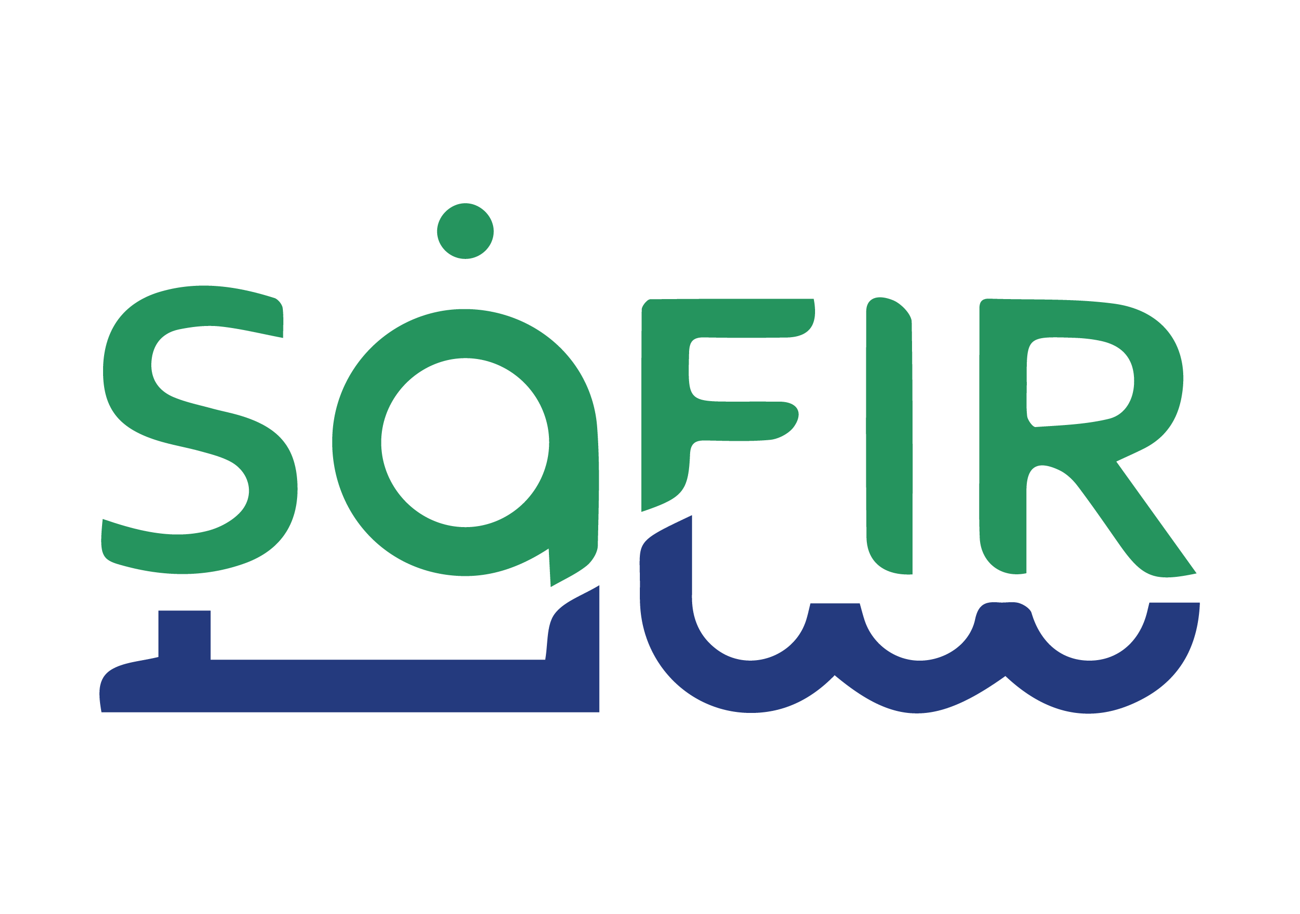 Website Logo